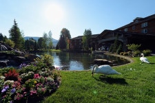 Where Vacationing Media Moguls Enjoy More Than Scenery - Bloomberg Where Vacationing Media Moguls Enjoy More Than Scenery