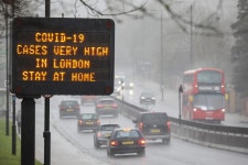 What Happens When Humans Become Guinea Pigs to Advance Science - Bloomberg What Happens When Humans Become Guinea Pigs to Advance... 