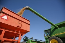 Several US Soybean Cargoes Are Set for China as Trade Resumes - Bloomberg Several US Soybean Cargoes Are Set for China as Trade... 