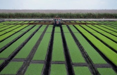 The Carbon Market Gold Rush in American Agriculture - Bloomberg The Carbon Market Gold Rush in American Agriculture