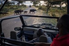 South Africa’s Kruger Park Opposes New Truck Border Link to Mozambique - Bloomberg South Africa’s Kruger Park Opposes New... 