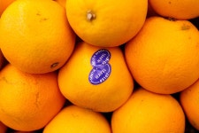 South African Farmers See Pain as U.S. Trade Deal Unravels - Bloomberg South African Farmers See Pain as U.S. Trade Deal Unravels