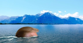 Trump’s Threat to Leave the WTO Could Be a Saving Grace - Bloomberg Trump’s Threat to Leave the WTO Could Be a Saving Grace