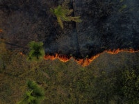 Brazilian Amazonas Declares Environmental Emergency on Wildfires, Drought - Bloomberg Wildfires, Deforestation Spark Emergency in... 