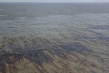 Oil Spill Off Louisiana Coast Shuts Output From Seven Drillers - Bloomberg Oil Spill Off Louisiana Coast Shuts Output From Seven... 