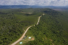 World’s Largest Forestry Offsets Project Has License Revoked - Bloomberg World’s Largest Forestry Offsets Project Has License... 
