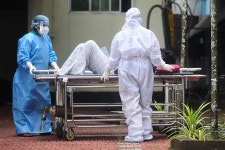 Nipah Virus in Indias Kerala: What to Know About Symptoms, Deaths and Treatment - Bloomberg What Is the Deadly Nipah Virus and... 