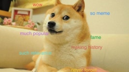 Pet startups News & Topics  Pet startups