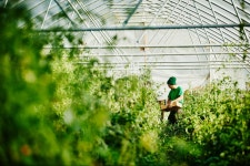 carbon footprints - Articles & Biography | Entrepreneur