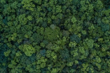 Climate tech - Articles & Biography | Entrepreneur