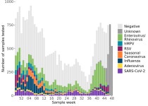 National flu and COVID-19 surveillance report: 5 December (week 49) - GOV.UK  National flu and COVID-19 surveillance report: 5... 