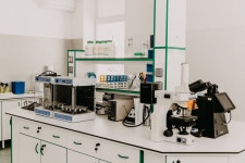 Modern Science Tolerates Fools and Knaves. Heres a Solution | Flipboard