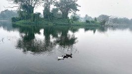 Migratory birds | Bird flu outbreak prompts watch on winged guests in Bengal - Telegraph India Bird flu outbreak prompts watch on... 