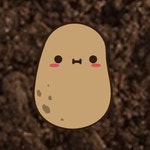 수줍은감자님의 프로필 - 언니의파우치