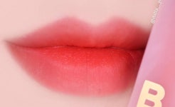 비바이바닐라 벨벳 블러드 베일 립 [RD01 브릭 레드 부케] - dallayoung 님의 광고 없는 내돈내산 찐리뷰