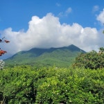 Photos of Carib Brewery | Untappd