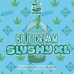 SLUSHY XL Blue Dream - 450 North Brewing Company - Untappd