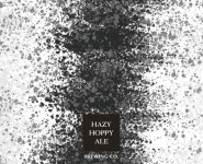 Hazy Hoppy Ale | 헤이지 호피 에일 - Nemo Brewing Company - Untappd