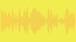How a Voice Makeover Upped My Zoom Game—And Changed My Life | Vogue How a Voice Makeover Upped My Zoom Game—And Changed My Life