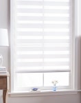 Charlton Home Semi Sheer Pleated Shade & Reviews | Wayfair