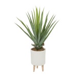 AllModern 27 Artificial Aloe Plant in Pot | Wayfair