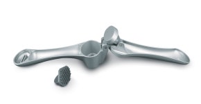 Cuisinox Garlic Press & Reviews | Wayfair