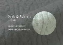 아뜨랑스 - nt3277