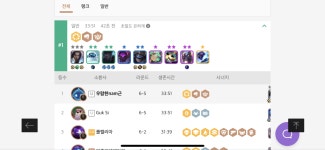 마재보다 더한 약사 - 롤체지지