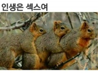 중딩때부터 지금까지 인생 버리면서 느낀건데 - League of Legends