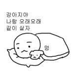 커뮤니티가 조잡할 땐 귀여운 짤을 보자 - League of Legends