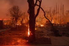 LA fires: Five dead in wildfires as firefighters battle blaze in Pacific Palisades — as it happened - ABC News Hundreds of LA... 