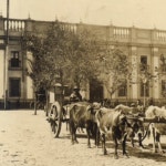 The John Batchelor Show / #Covid19: The new booster arrives for 6 month-olds plus. HenryMillerMD.org #Covid19: The new booster... 