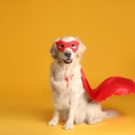 The Anna & Raven Show / Coaching 101 Coaching 101