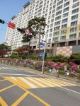 -청석공원 송정동우림필유 45평형(확 ... | 디스코