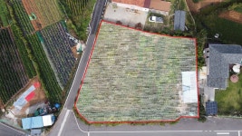 11840, 강화토지, 대로접한 카페 ... | 디스코