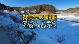 강릉토지 매매 성산면 위촌리 계획관리 ... | 디스코