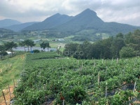 [토지/매매 1억 5000만원] 황금리