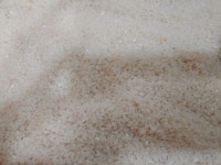 경주시농협쌀조합공동사업법인 2023 천년고도 경주 삼광쌀 20kg [1개] - 에누리 가격비교