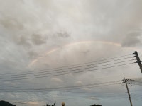 홈런 린넨 비비드 워싱 긴팔 셔츠 DNF017 A 마 남방 - 에누리 가격비교