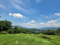 온누리꽃농원 꽃피는극락조/플랜테리어/공기정화식물 : 다나와 가격비교 [다나와] 온누리꽃농원 꽃피는극락조/플랜테리어/공기정화식물