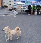 바우와우 호시탐탐 모이스트 양고기버거 600g (1개) : 다나와 가격비교 [다나와] 바우와우 호시탐탐 모이스트 양고기버거 600g (1개)