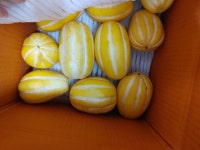 하늘유통농장 성중 굴참외 못난이 혼합과 5kg - 에누리 가격비교