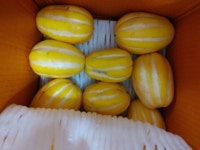 하늘유통농장 성중 굴참외 못난이 혼합과 5kg - 에누리 가격비교