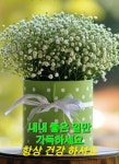 사조오양 하이 비엔나 1kg [10개] - 에누리 가격비교