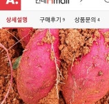 산들다온 땅끝해남 꿀고구마 못난이 10kg [1개] - 에누리 가격비교