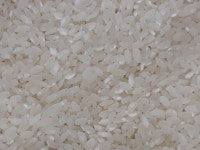 임실농협 2023 진주닮은쌀 상등급 20kg (1개) : 다나와 가격비교 [다나와] 임실농협 2023 진주닮은쌀 상등급 20kg (1개)