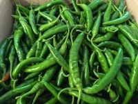 산정마을 국내산 청양고추 상 5kg [1개] - 에누리 가격비교