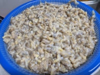 지투지샵 대풍수산 바지락살 1kgx4 : 다나와 가격비교 [다나와] 지투지샵 대풍수산 바지락살 1kgx4