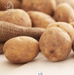 웰굿 국내산 포슬한 개진감자 왕특 5kg [1개] - 에누리 가격비교