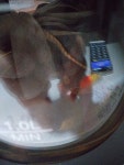 자애인 국산 감초 400g 국산감초 말린감초 : 다나와 가격비교 [다나와] 자애인 국산 감초 400g 국산감초 말린감초